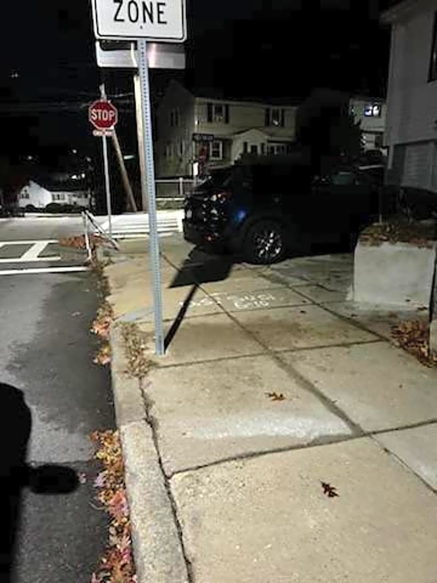 Image submitted with report