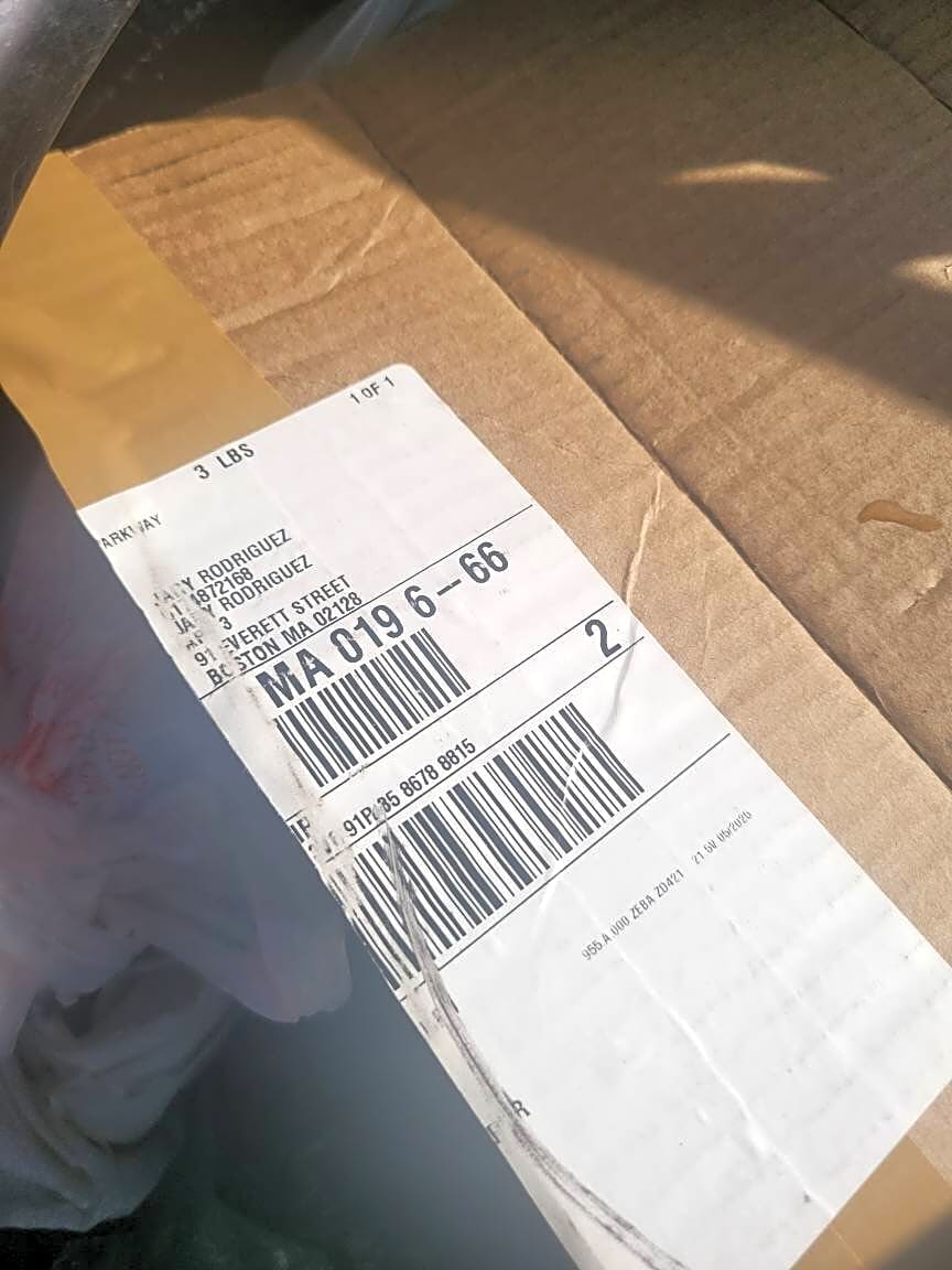 Image submitted with report