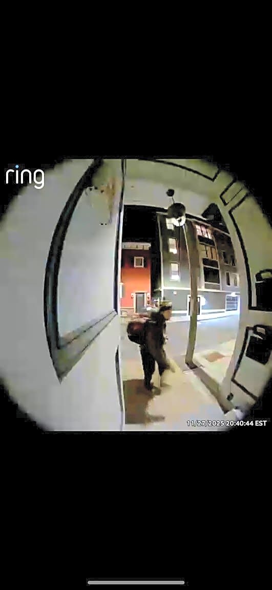 Image submitted with report