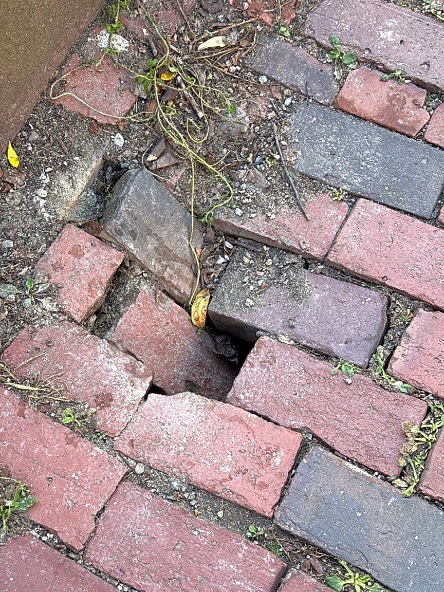Image submitted with report
