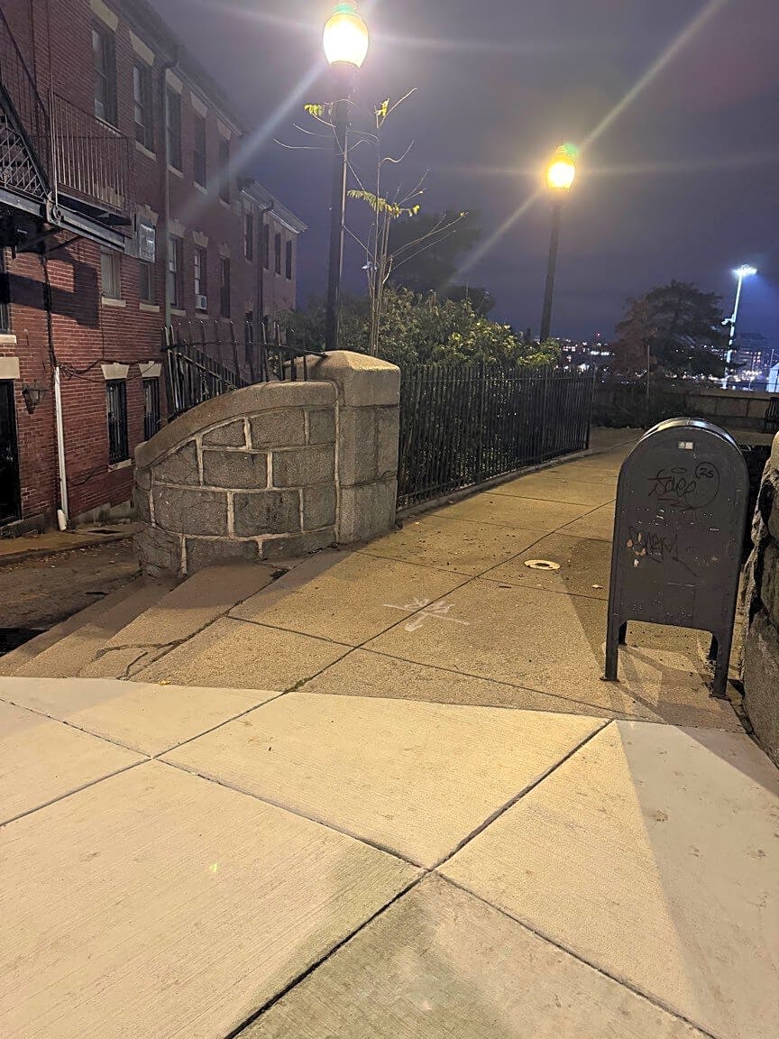 Image submitted with report