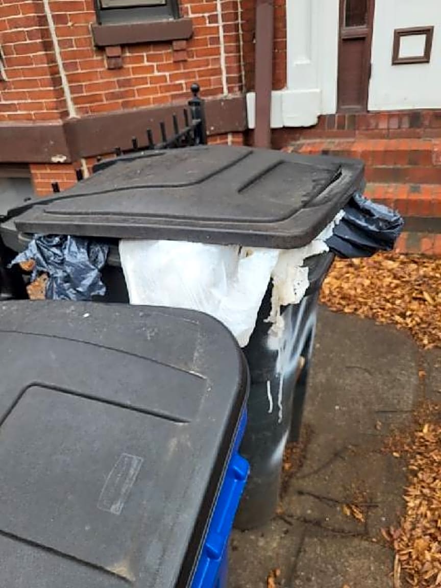 Image submitted with report