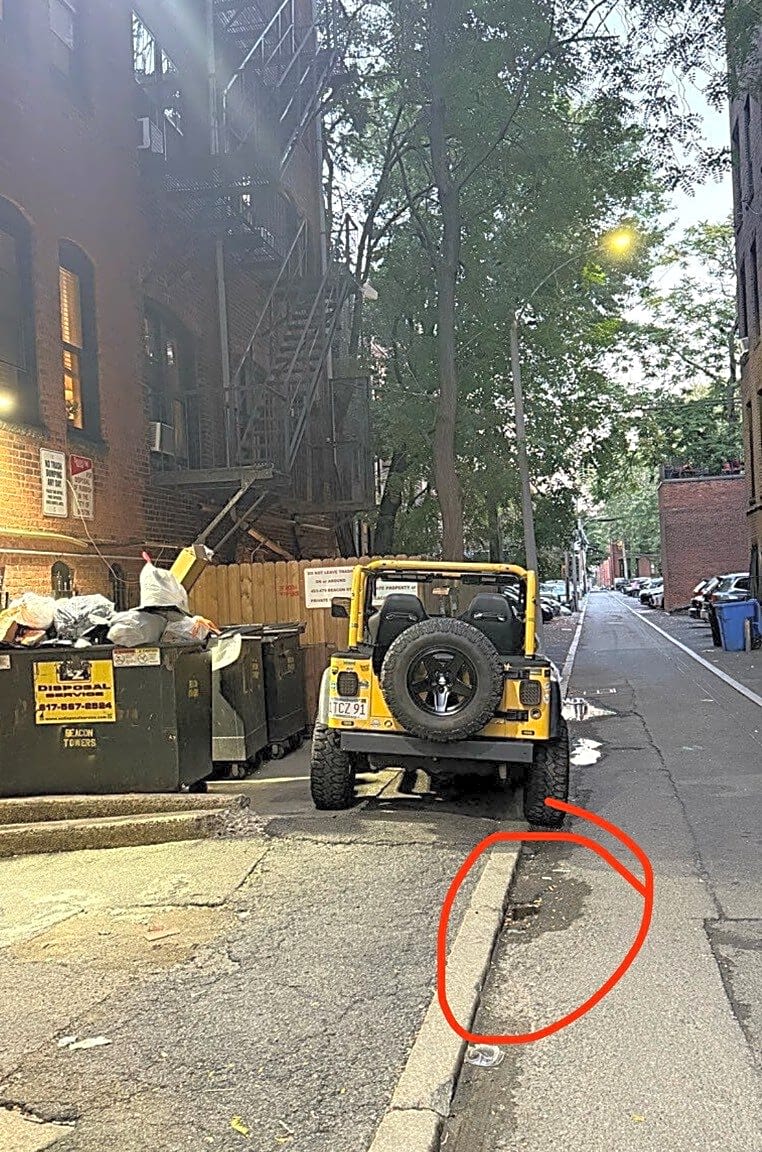 Image submitted with report