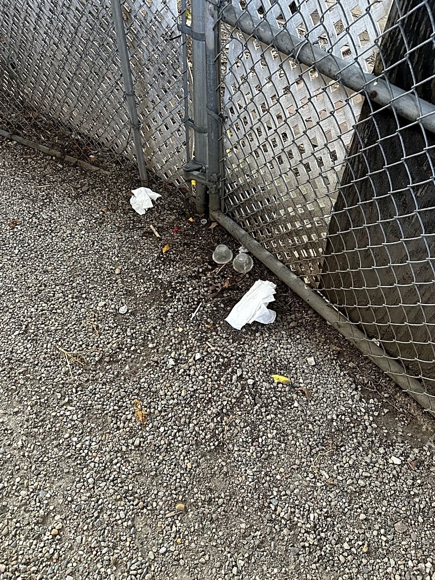 Image submitted with report