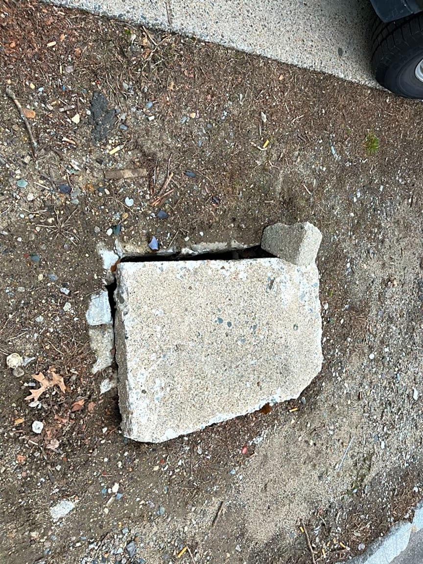 Image submitted with report