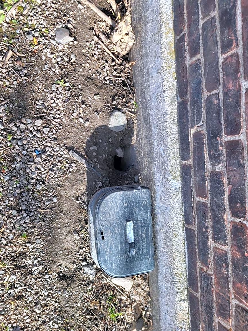 Image submitted with report