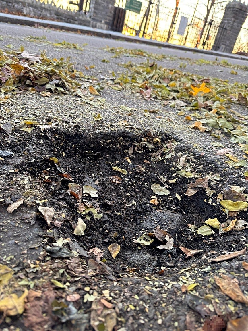 Image submitted with report