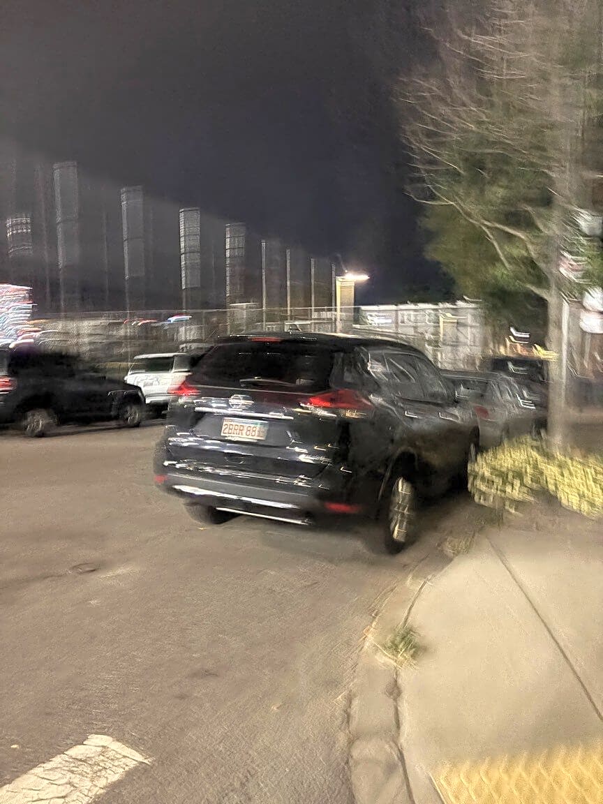 Image submitted with report