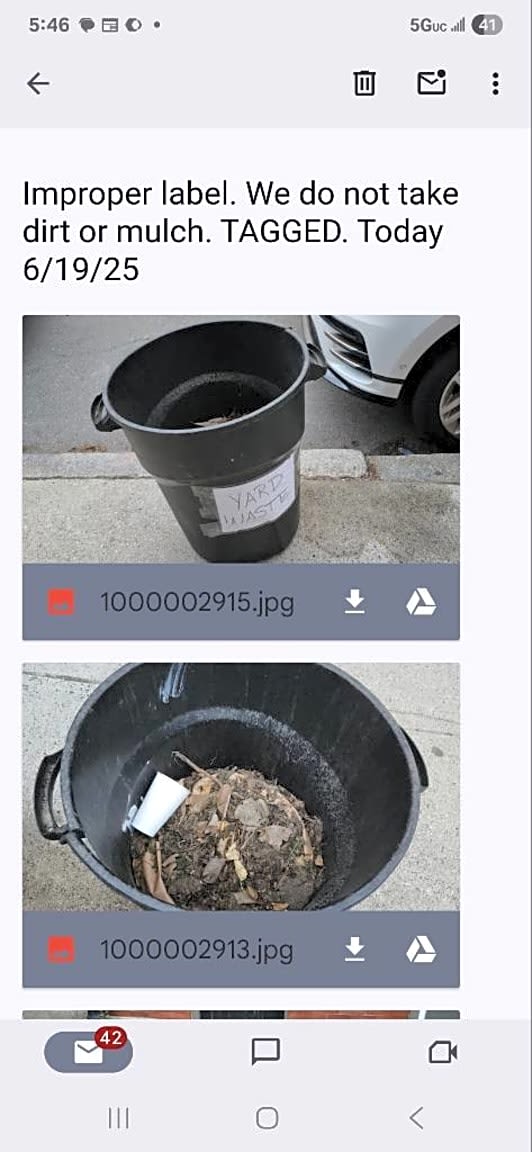 Image submitted with report