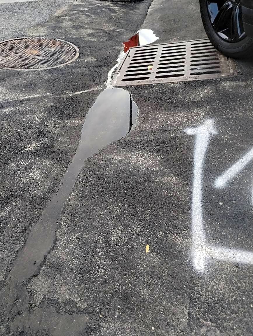 Image submitted with report