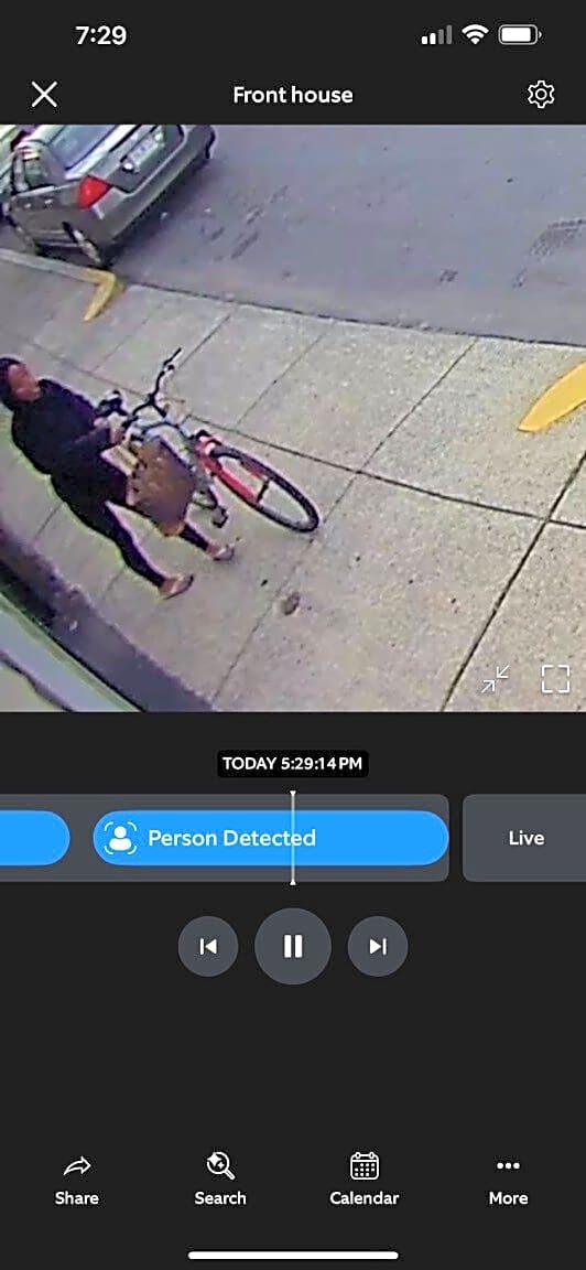 Image submitted with report