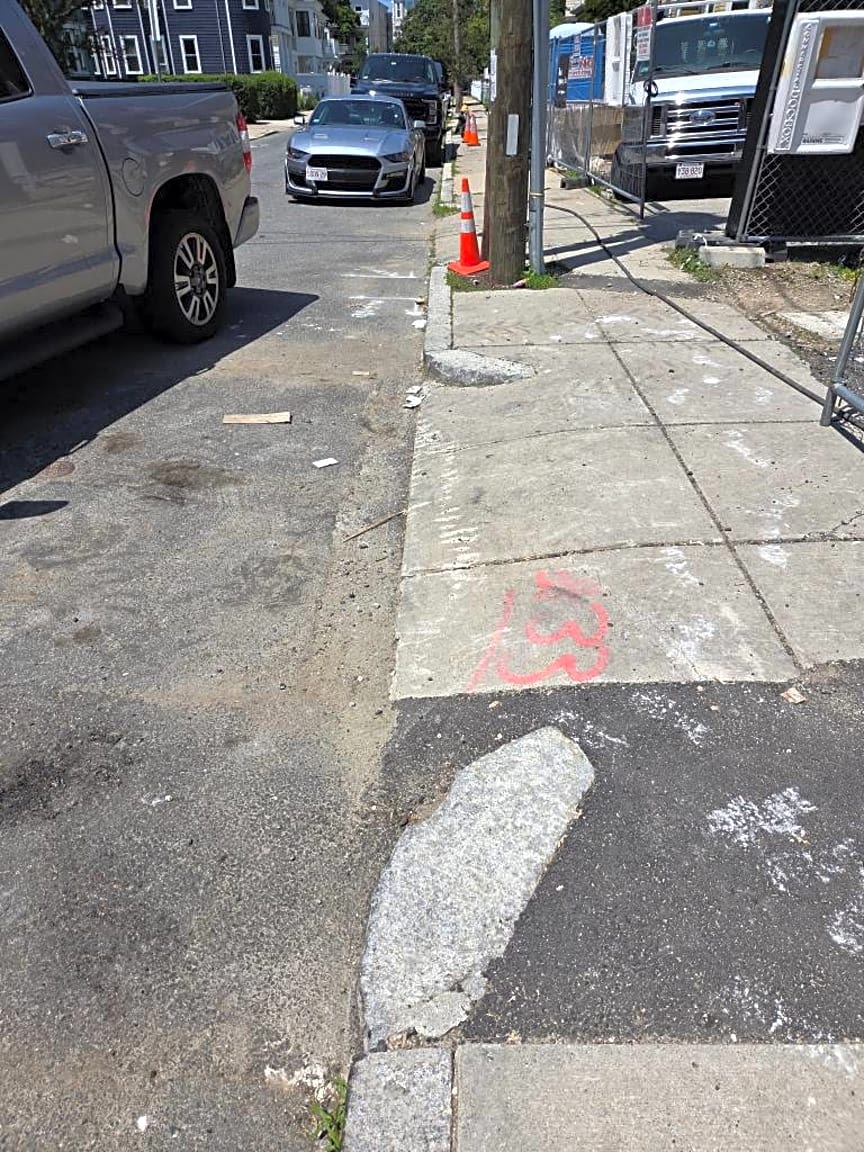 Image submitted with report