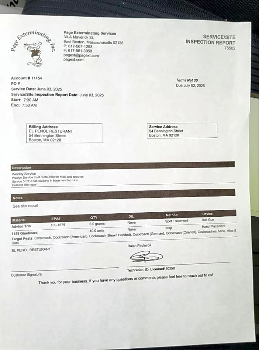 Image submitted with report