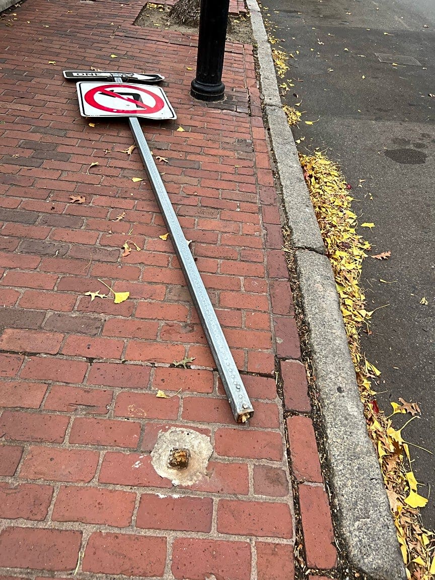 Image submitted with report