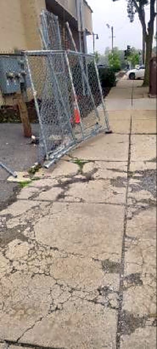 Image submitted with report