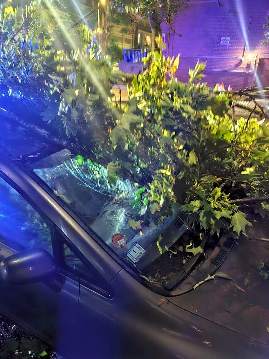 Image submitted with report