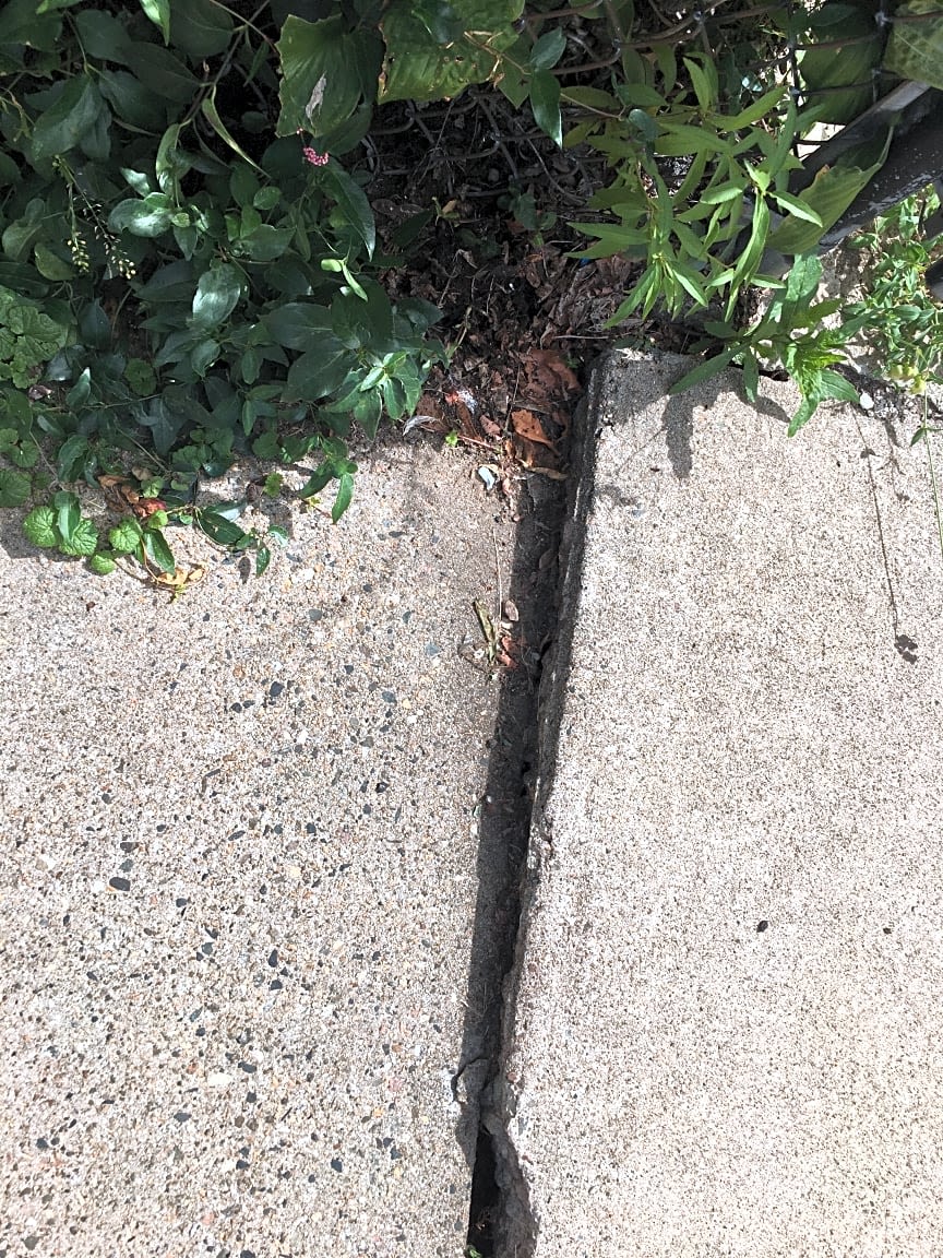 Image submitted with report