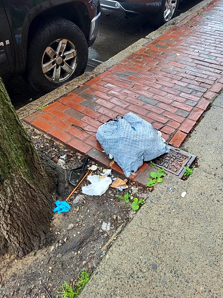 Image submitted with report