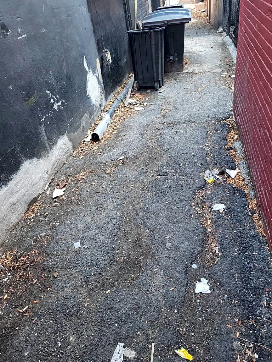 Image submitted with report