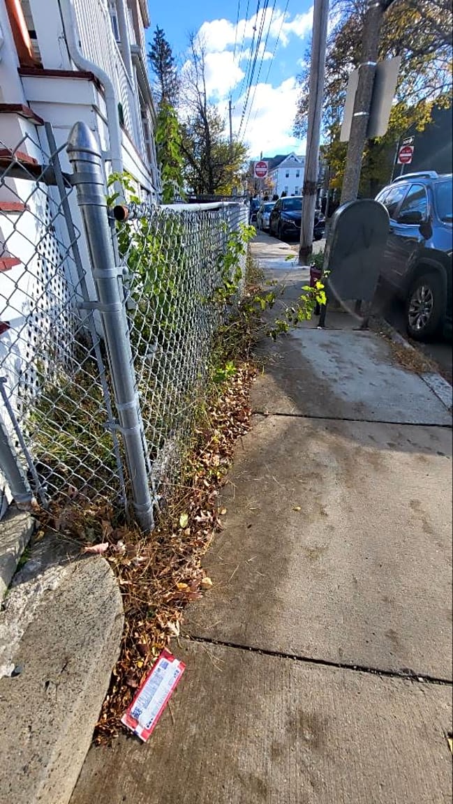 Image submitted with report