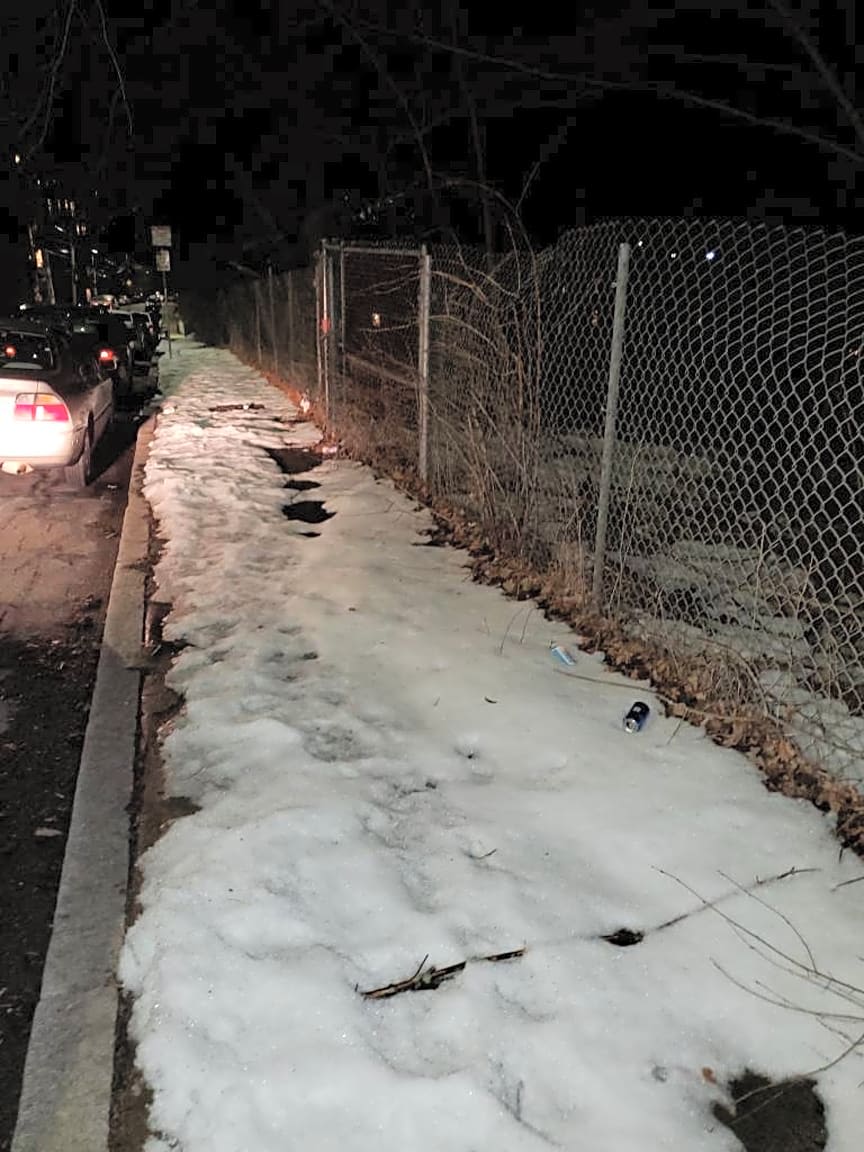 Image submitted with report