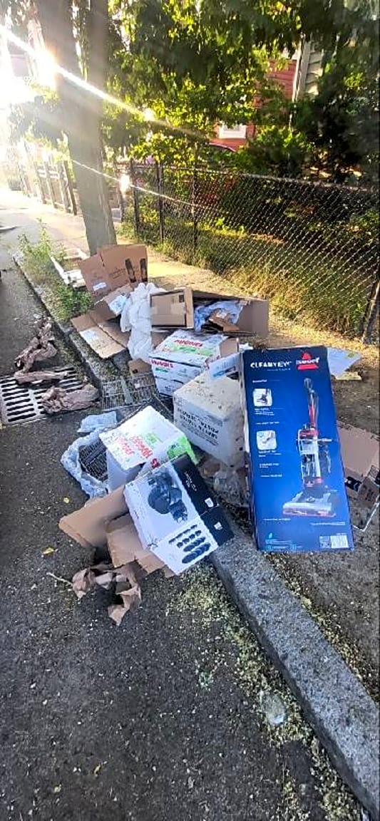 Image submitted with report
