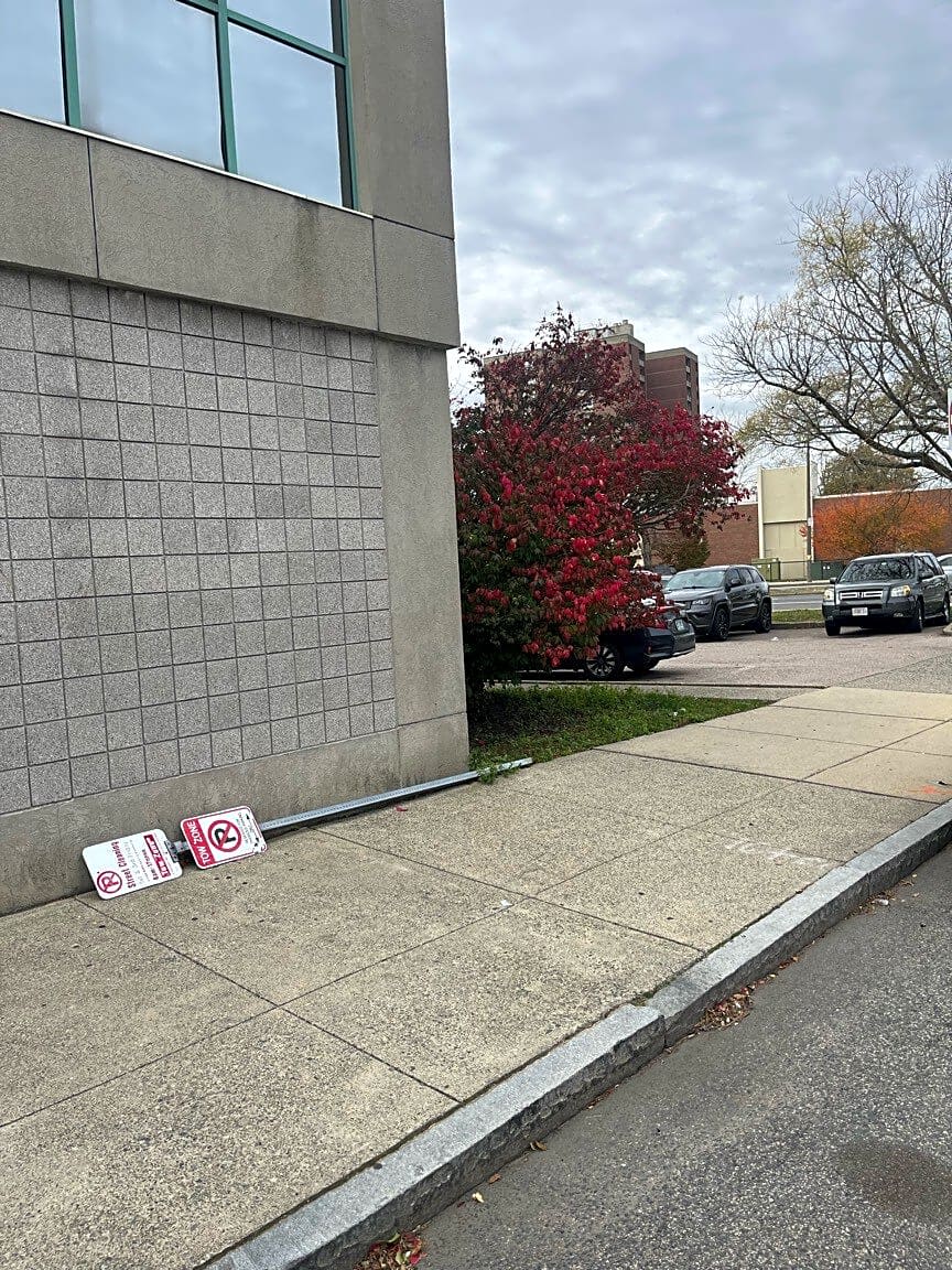 Image submitted with report