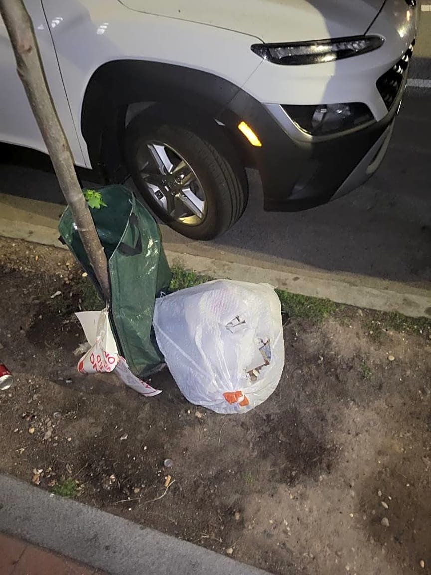 Image submitted with report