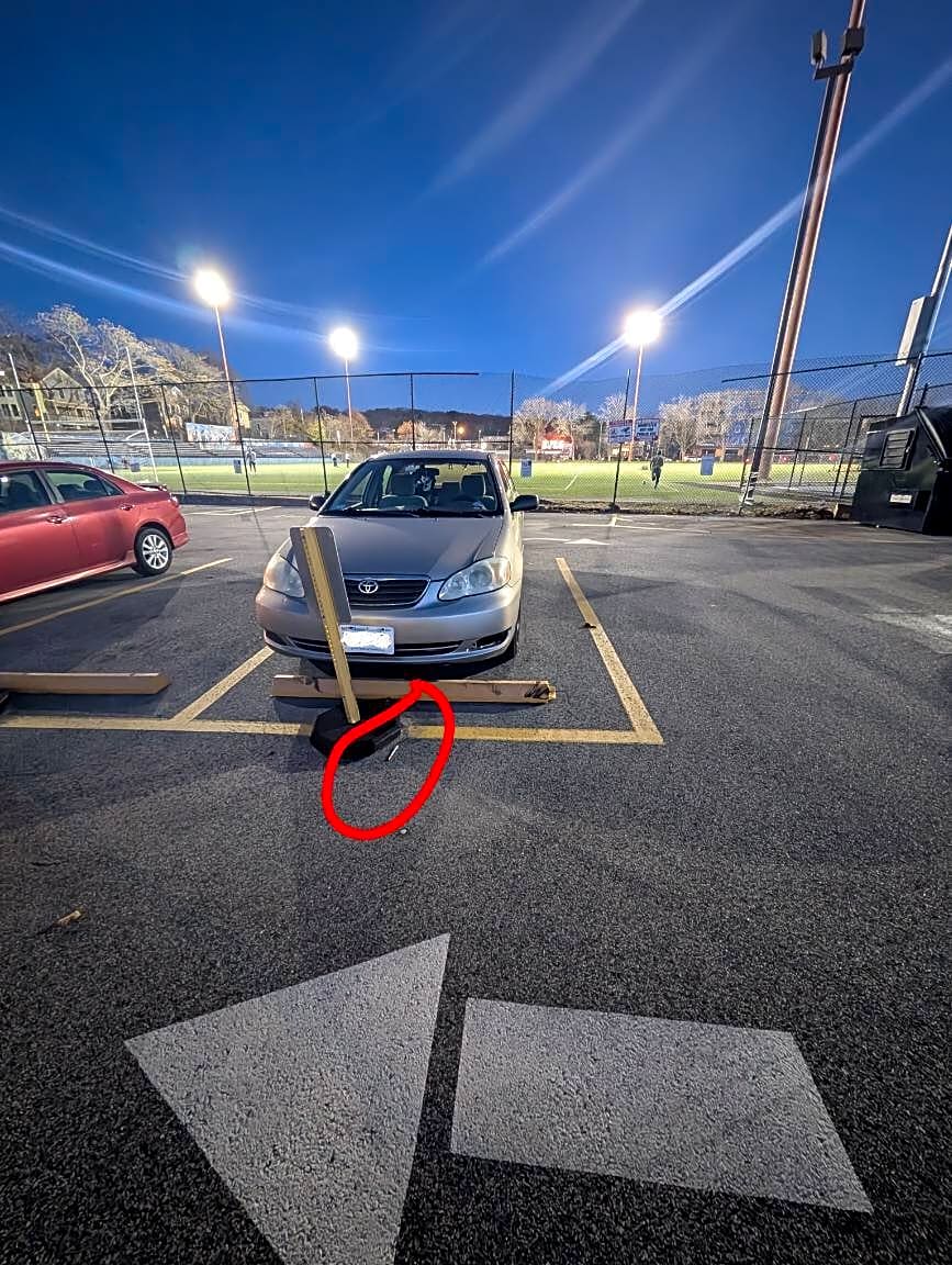 Image submitted with report