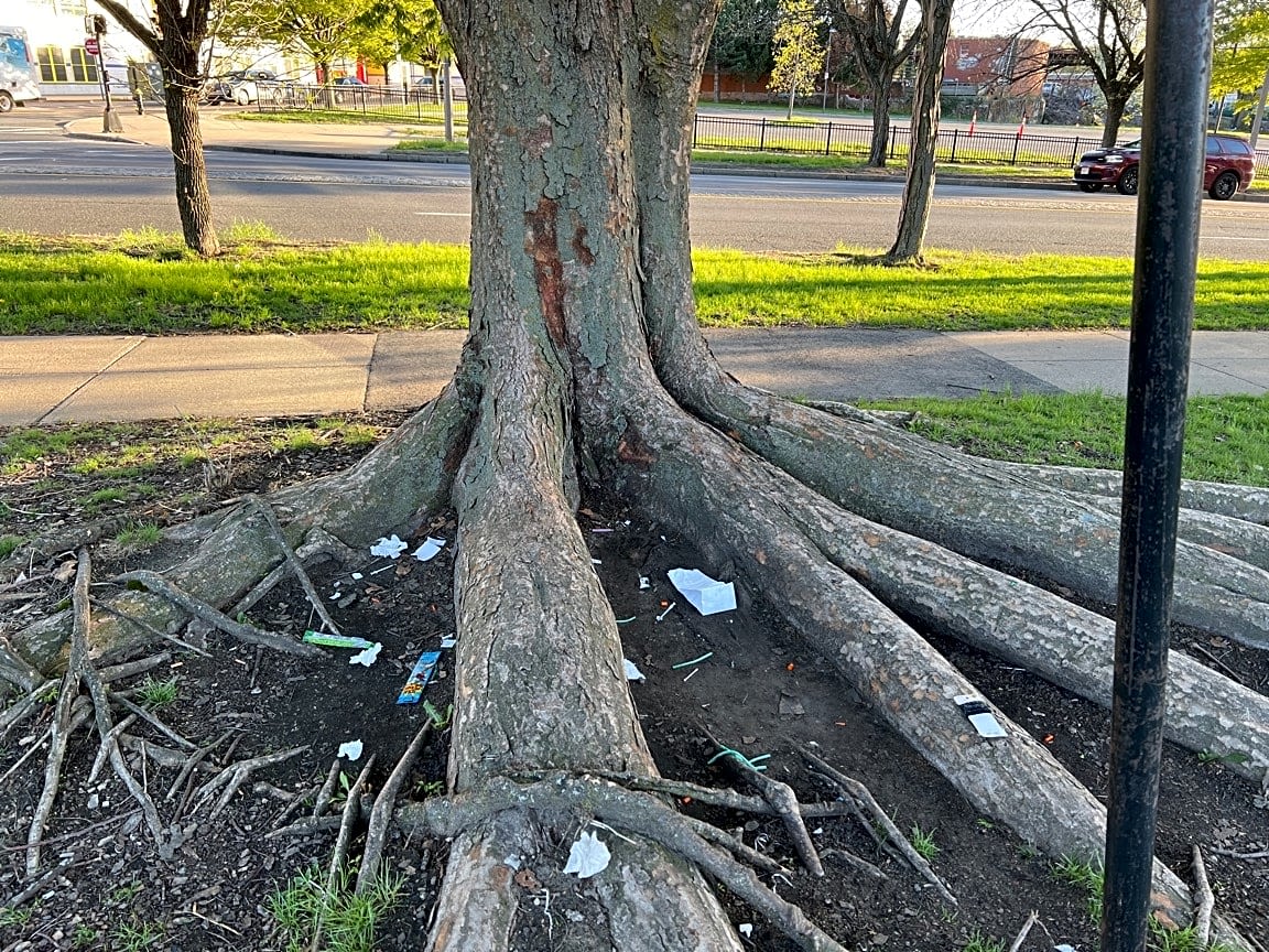 Image submitted with report