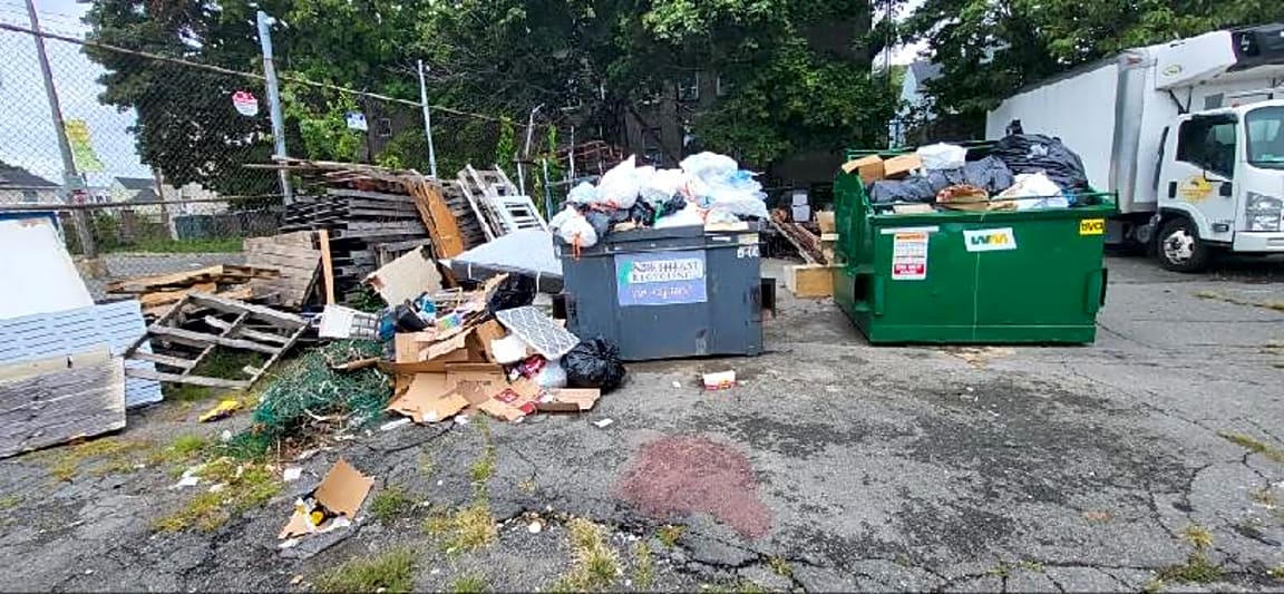 Image submitted with report