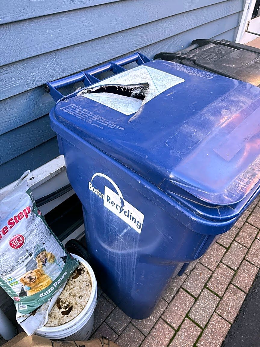 Image submitted with report