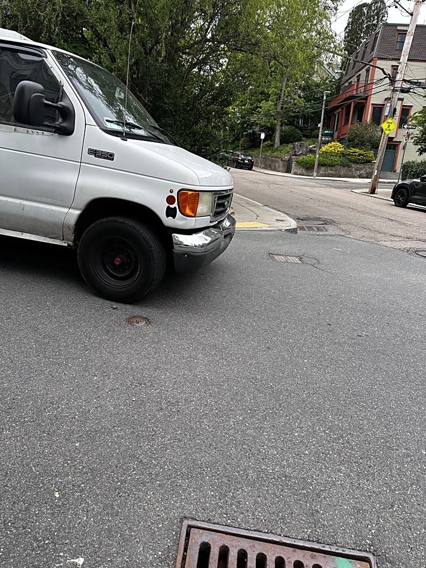Image submitted with report