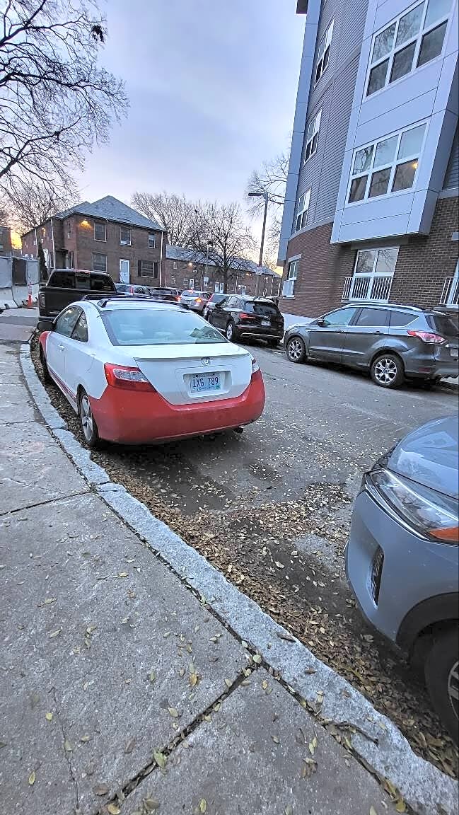 Image submitted with report