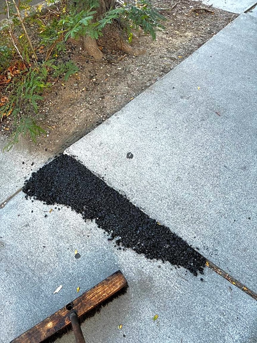 Image submitted with report