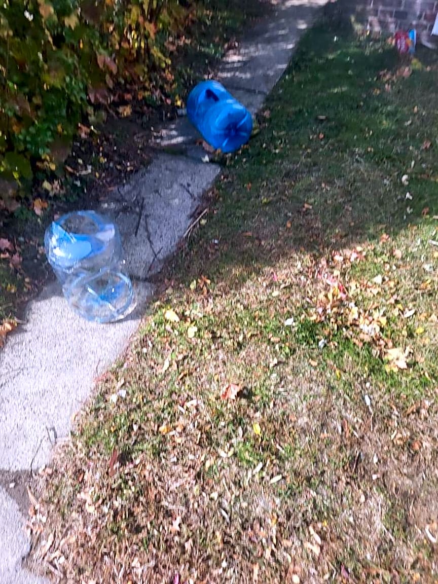 Image submitted with report