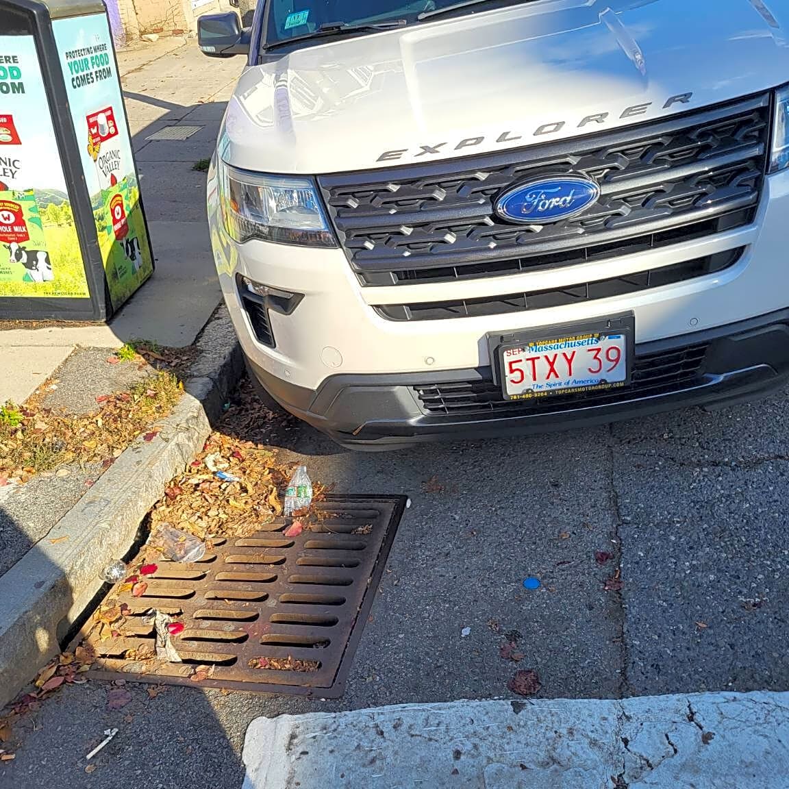 Image submitted with report