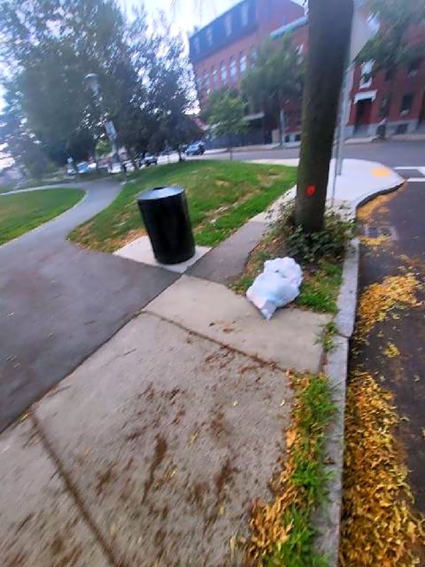 Image submitted with report