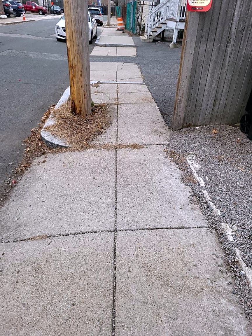 Image submitted with report