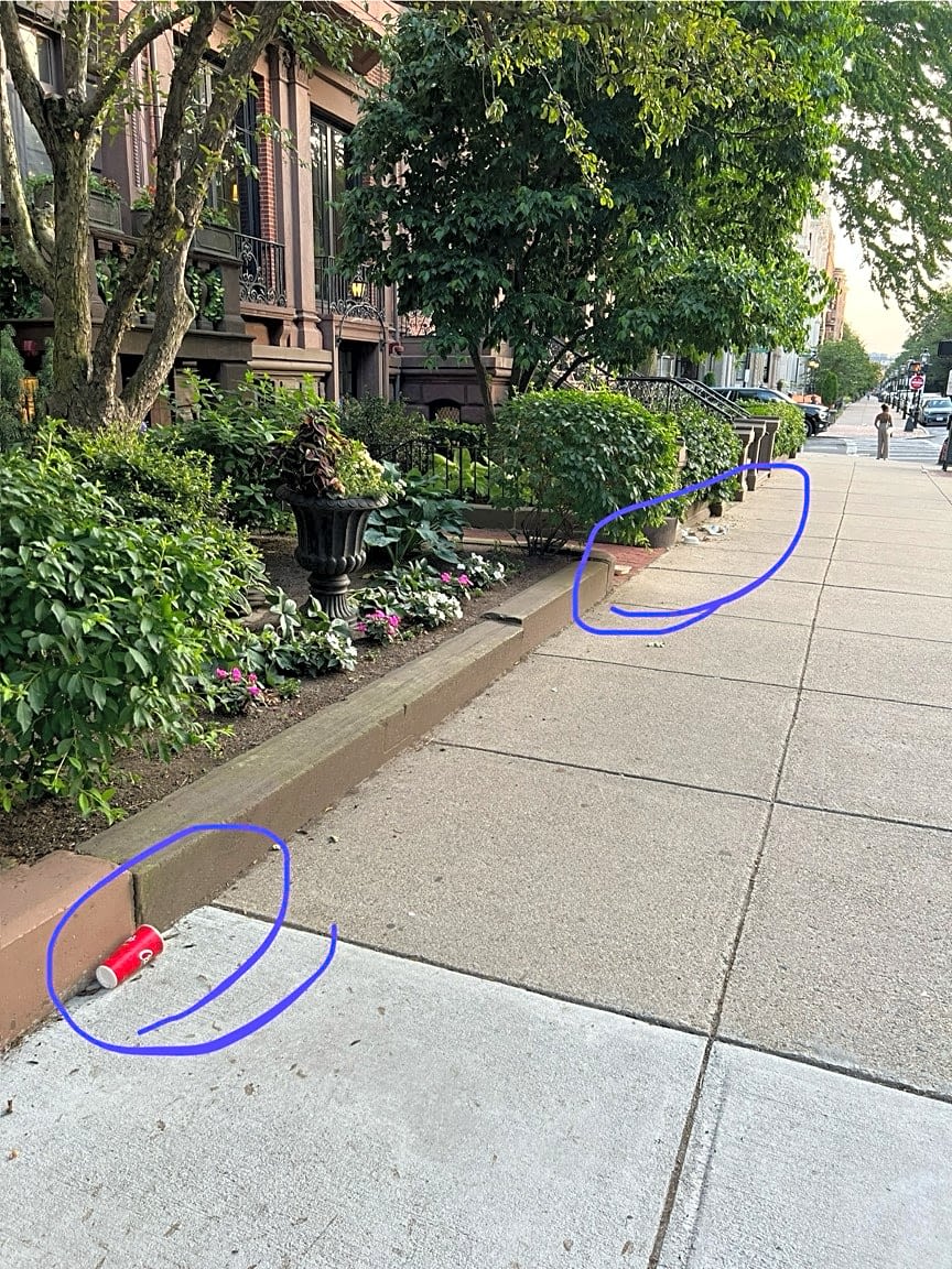 Image submitted with report