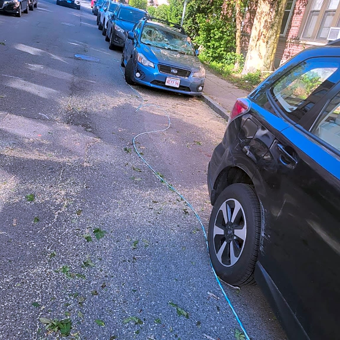 Image submitted with report