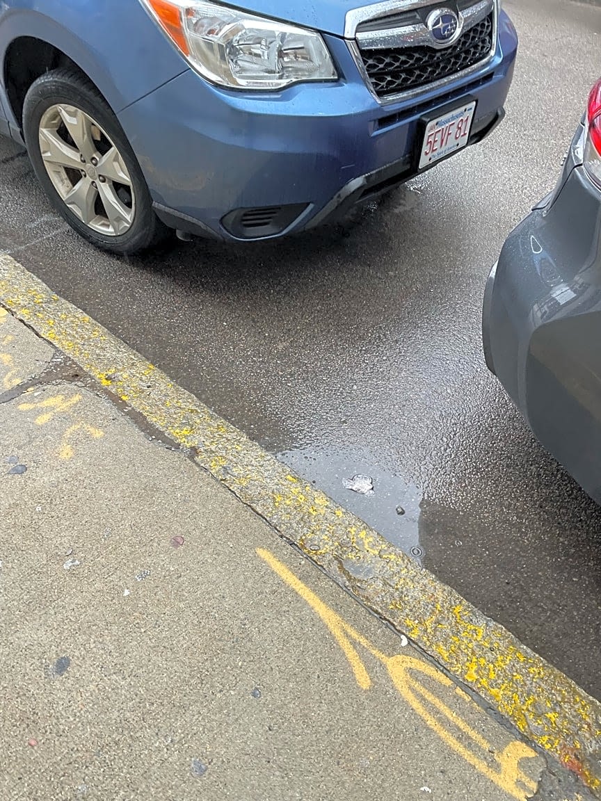 Image submitted with report