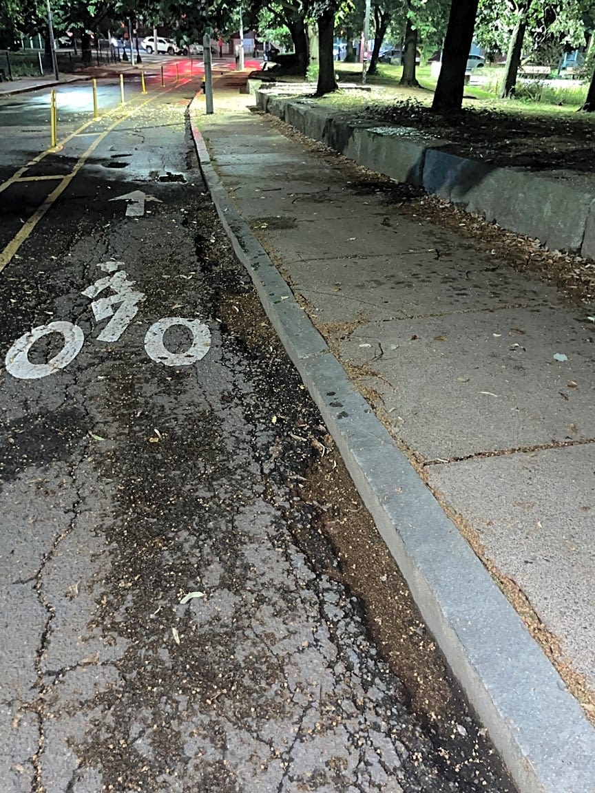 Image submitted with report
