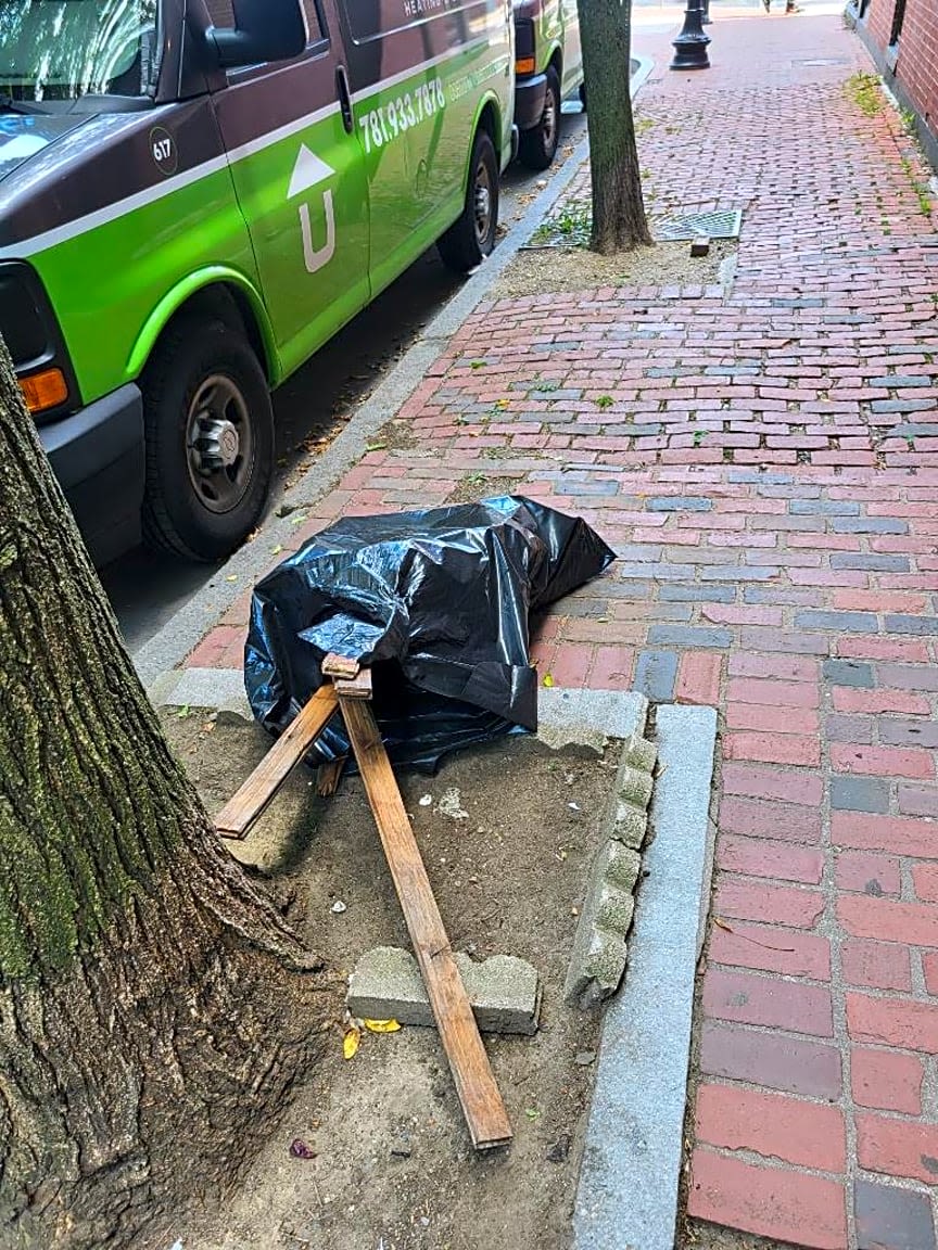 Image submitted with report