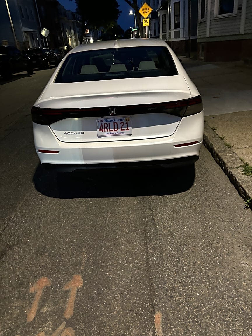 Image submitted with report