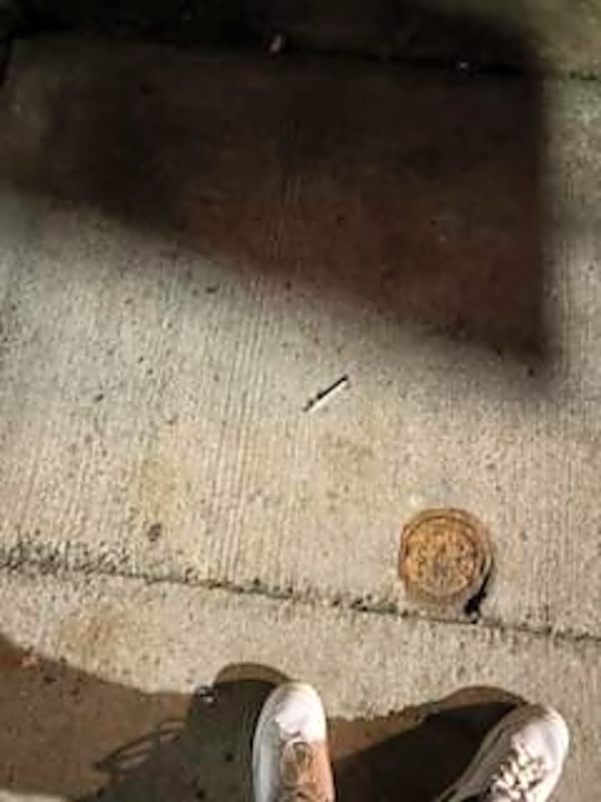 Image submitted with report