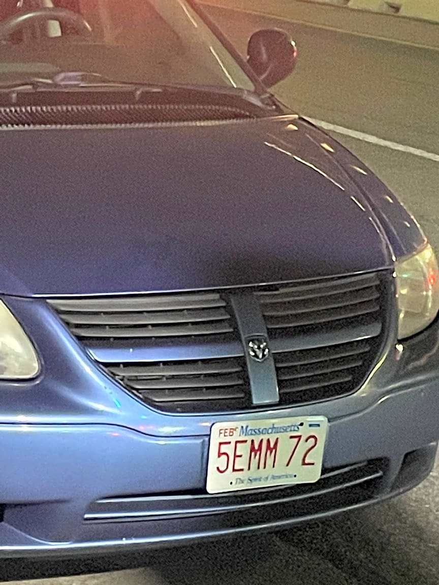 Image submitted with report