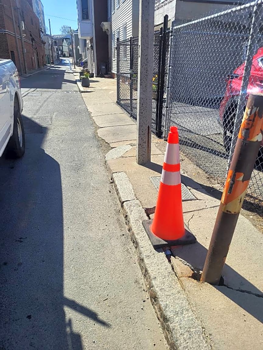 Image submitted with report