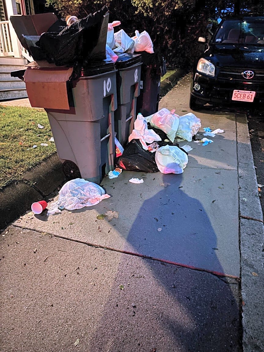 Image submitted with report