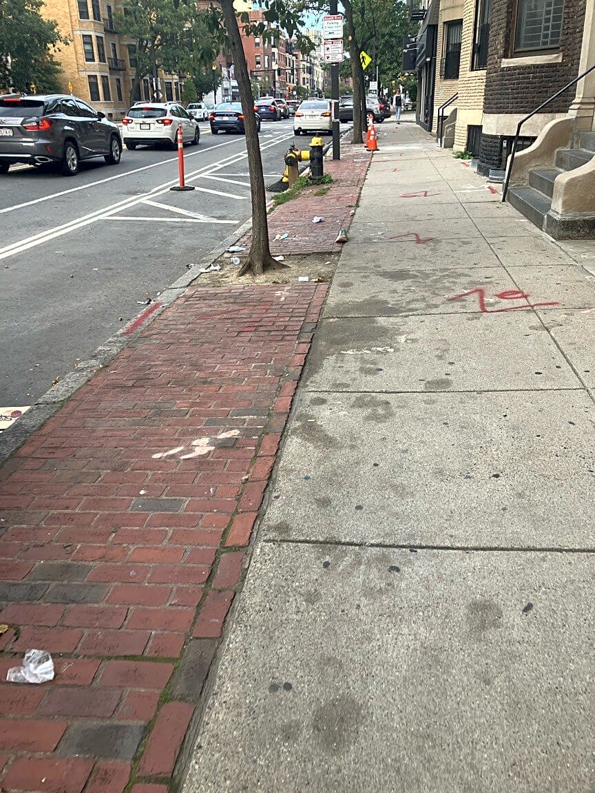 Image submitted with report